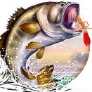 Fishing Club(������ֲ�3D��׿��)