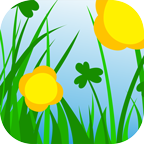 С��app