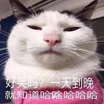 �ܺ�Ц��һ�쵽����֪�������������