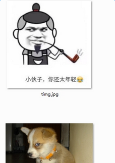 很好笑吗一天到晚就知道哈哈哈表情包截图1