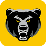 ���ܲ���app
