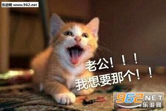 ���Ϲ������ȵı������ˮӡ��ͼ3