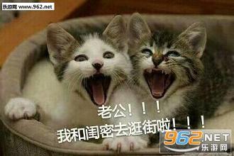 ���Ϲ������ȵı������ˮӡ��ͼ5