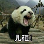 ���ұ����