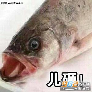 ���ұ������ͼ1