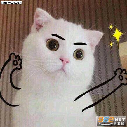 �����˱����������ˮӡ��ͼ1
