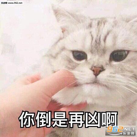 �����˱����������ˮӡ��ͼ2
