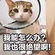 �����èū�������ͼ1