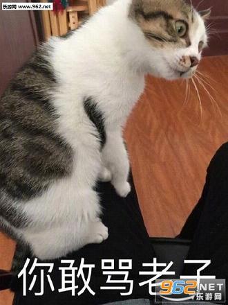è����ë�߱������ͼ1