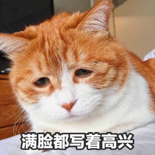 Im fine Fuck you�����