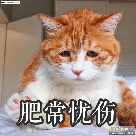 Im fine Fuck you�������ˮӡ��ͼ1