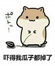 �����ŵ��ҹ��Ӷ����˱������ˮӡ��ͼ0