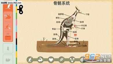 哺乳动物 Tinybop出品app截图4