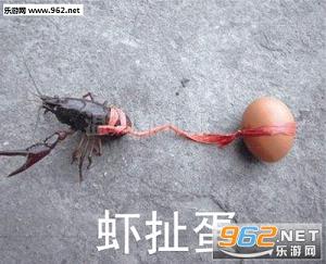 ������ź�������ͼ1