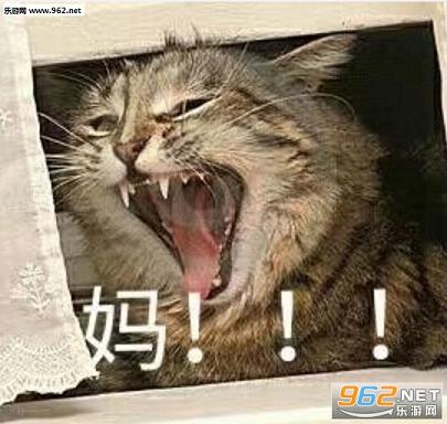 ����С����ϵ�б������ͼ2