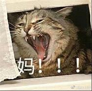 撕心裂肺叫妈表情包动物版截图1