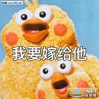 �����ֵܱ����gif��ͼ�������ˮӡ��ͼ2