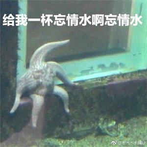 �������ż���Ϣ�����