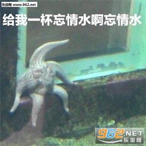 �������ż���Ϣ�������ͼ0