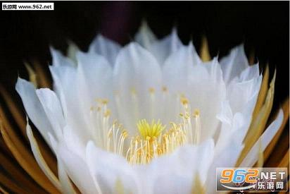 QQ截图20170525114243.jpg