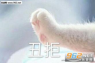 牵宝宝的手表情包高清完整版截图1