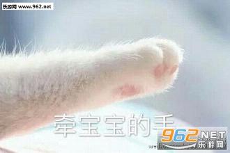 牵宝宝的手表情包高清完整版截图0