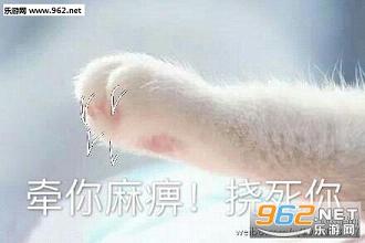 牵宝宝的手表情包高清完整版截图3