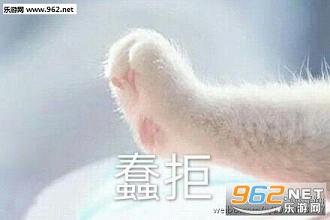 牵宝宝的手表情包高清完整版截图2