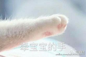 ǣ�������ֱ����