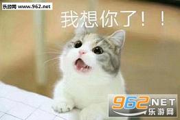 �ɰ�����������ϵ�б������ͼ1