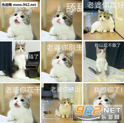�ɰ�����������ϵ�б������ͼ0