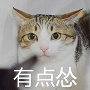 巨怂猫表情包截图1