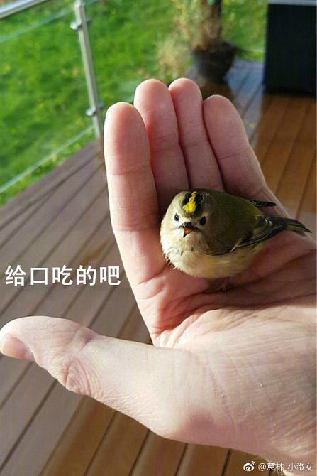 ����֮�Ͷ�����˵�����кóԵı����