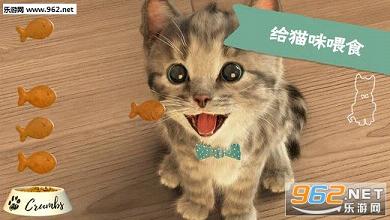 little(����ϲ����èè��Ϸ)(Little Kitten)v1.0��ͼ2