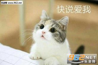��Ҫ������������ͼ1