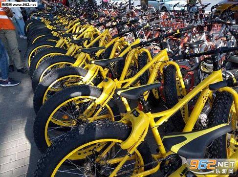 ofo��������v1.0��ͼ2
