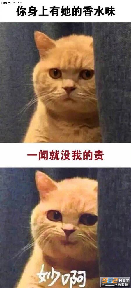 ������ĵ���������һ��Ů�����밡è��������ͼ0