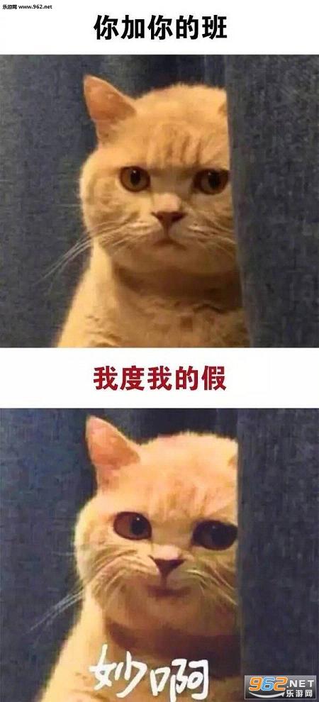 ������ĵ���������һ��Ů�����밡è��������ͼ1