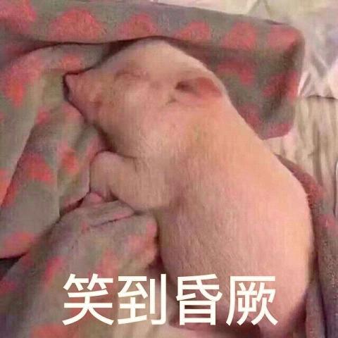 �ɰ���⤱����