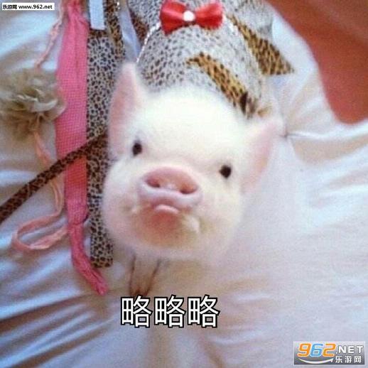 �ɰ���⤱������ͼ1