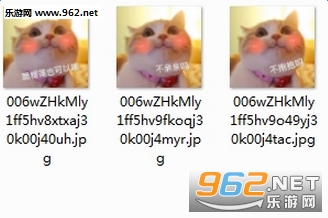è�������������ͼ1