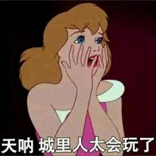 ���ܵ��˾��ű����