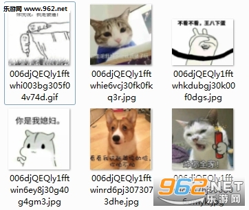 ���߰����費���Ҹ�ɵ����è��������ͼ0