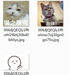 ���߰����費���Ҹ�ɵ����è��������ͼ1