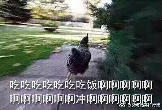 �尡�Է��˱����