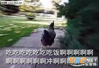 �尡�Է��˱������ͼ0