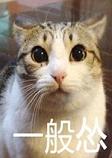 �˱����