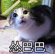�˱������ͼ1