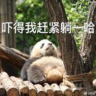 ������С����񱻴������������ϱ����