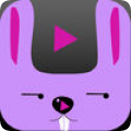 ����app